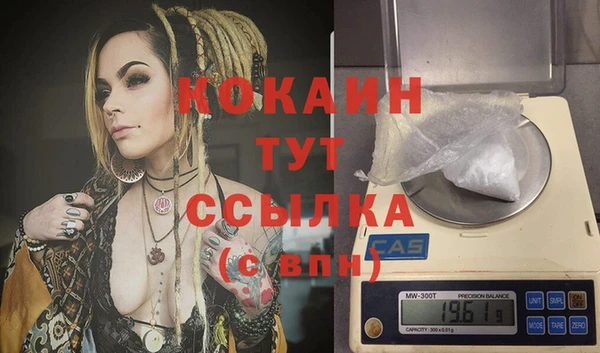 сатива Приозерск